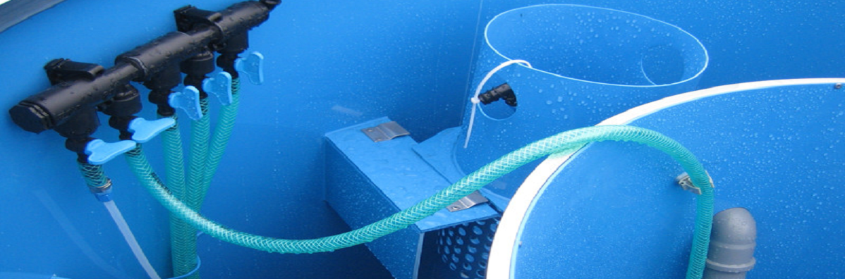 Depuradoras biológicas