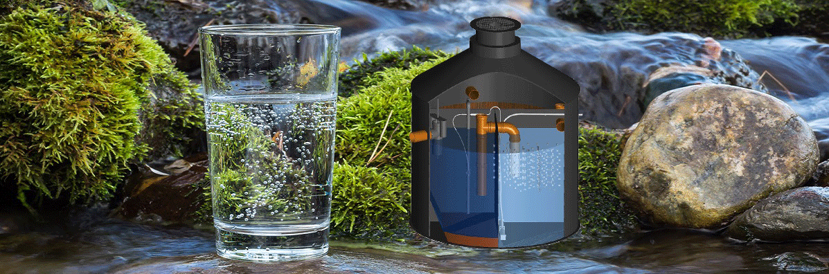 Depuradoras biológicas